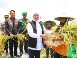 Khofifah: Sekolah Rakyat di Mojokerto Siap Dibuka Khofifah: Sekolah Rakyat di Mojokerto Siap Dibuka