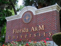 OK Rattler Nation! Florida A&M Tops Forbes HBCU Online Ranking