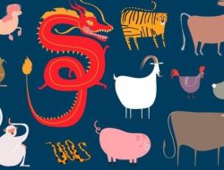 Ramalan Shio Besok 23 Juli 2025 untuk Monyet, Ayam, Anjing, dan Babi Ramalan Shio Besok 23 Juli 2025 untuk Monyet, Ayam, Anjing, dan Babi