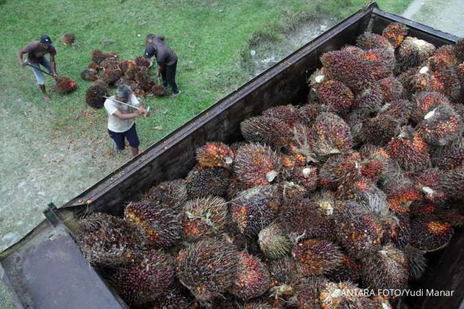 Sebelum Zona ODOL, GAPKI Minta Pemerintah Perbaiki Aturan Jalan