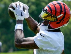 Bengals WR Tee Higgins Makes Appearance at Football Camp Bengals WR Tee Higgins Makes Appearance at Football Camp