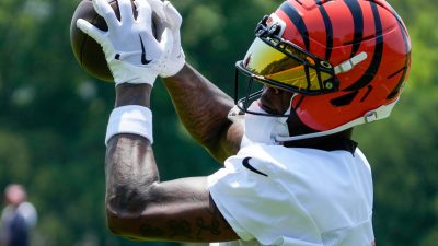Bengals WR Tee Higgins Makes Appearance at Football Camp