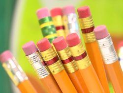 Impact of Noncertified Teachers in S.C. Classrooms Impact of Noncertified Teachers in S.C. Classrooms