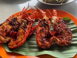 Tentu! Berikut rephrasing dari judul tersebut dalam Bahasa Indonesia yang lebih captivating dan concise, namun tetap mempertahankan maknanya:

**5 Kuliner Seafood Segar dengan Pemandangan Alam Memukau di Pacitan**  

Jika ingin nuansa yang lebih santai dan menarik perhatian pembaca:  
**Nikmati 5 Kuliner Seafood Murah dengan View Pantai di Pacitan**  

Atau versi yang lebih singkat dan catchy:  
**5 Kuliner Seafood & Pemandangan Indah di Pacitan**  

Berikan tahu jika kamu ingin variasi lain atau dengan tone tertentu (misalnya formal, santai, viral, dll).