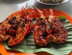 Tentu! Berikut adalah rephrased title yang lebih captivating, singkat, namun tetap menjaga makna dalam Bahasa Indonesia:

**”5 Kuliner Murah di Dekat Pantai Pacitan: Seafood Segar dan Pemandangan Alam Memukau!”**

Alternatif lain yang lebih menarik secara emosional:

**”Nikmati Seafood Segar dengan Pemandangan Lautan di 5 Kuliner Murah Pacitan!”**

Jika ingin kesan eksplorasi lebih kuat:

**”Eksplorasi 5 Kuliner Murah di Pacitan: Rasa Laut Segar dan Pesona Alamnya Bikin Betah!”**

Silakan pilih atau beri tahu jika ingin nuansa tertentu seperti lebih santai, formal, atau viral.