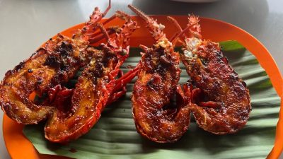 Tentu! Berikut adalah rephrased title yang lebih captivating, singkat, namun tetap menjaga makna dalam Bahasa Indonesia:

**”5 Kuliner Murah di Dekat Pantai Pacitan: Seafood Segar dan Pemandangan Alam Memukau!”**

Alternatif lain yang lebih menarik secara emosional:

**”Nikmati Seafood Segar dengan Pemandangan Lautan di 5 Kuliner Murah Pacitan!”**

Jika ingin kesan eksplorasi lebih kuat:

**”Eksplorasi 5 Kuliner Murah di Pacitan: Rasa Laut Segar dan Pesona Alamnya Bikin Betah!”**

Silakan pilih atau beri tahu jika ingin nuansa tertentu seperti lebih santai, formal, atau viral.