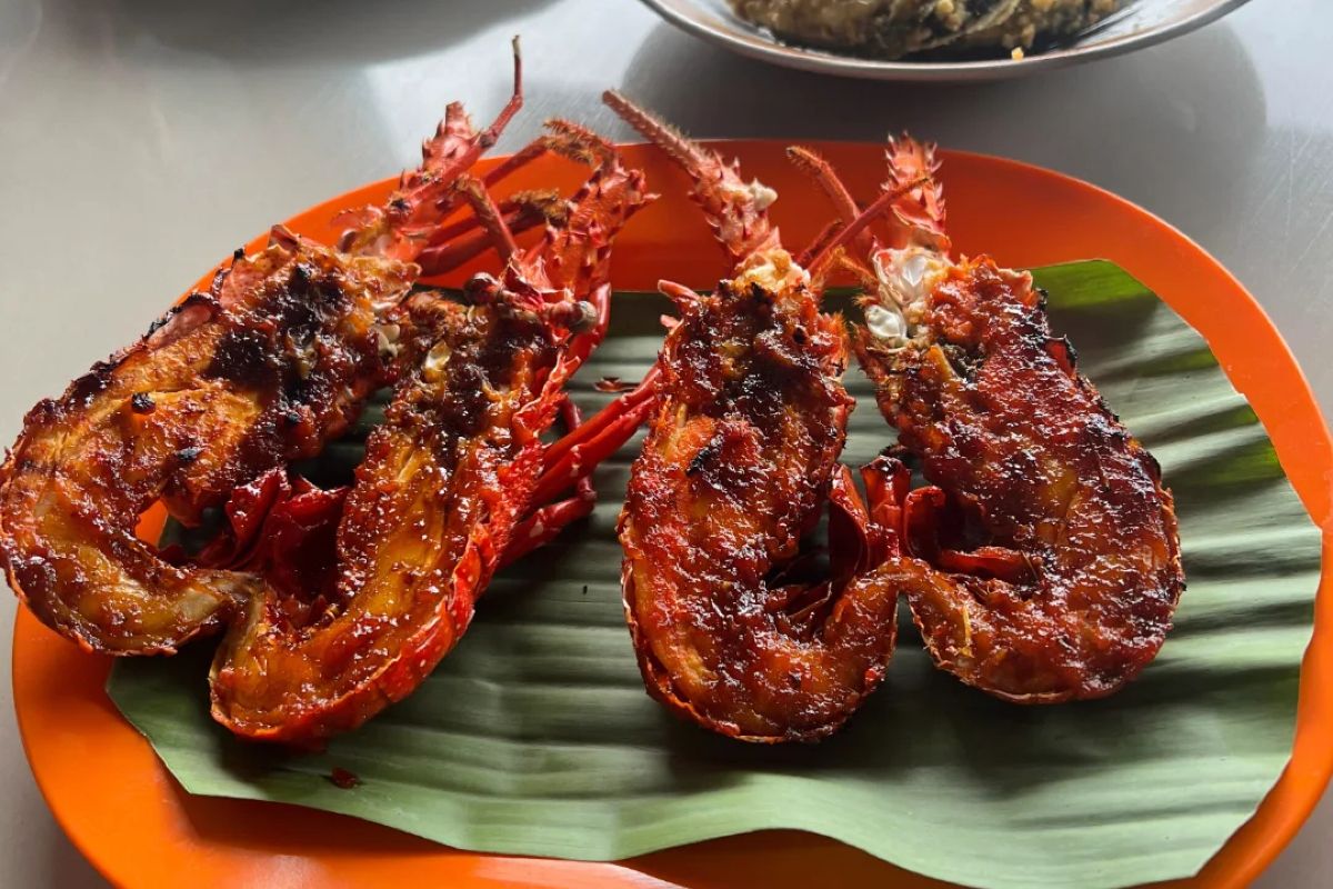 Tentu! Berikut adalah rephrased title yang lebih captivating, singkat, namun tetap menjaga makna dalam Bahasa Indonesia:

**”5 Kuliner Murah di Dekat Pantai Pacitan: Seafood Segar dan Pemandangan Alam Memukau!”**

Alternatif lain yang lebih menarik secara emosional:

**”Nikmati Seafood Segar dengan Pemandangan Lautan di 5 Kuliner Murah Pacitan!”**

Jika ingin kesan eksplorasi lebih kuat:

**”Eksplorasi 5 Kuliner Murah di Pacitan: Rasa Laut Segar dan Pesona Alamnya Bikin Betah!”**

Silakan pilih atau beri tahu jika ingin nuansa tertentu seperti lebih santai, formal, atau viral.