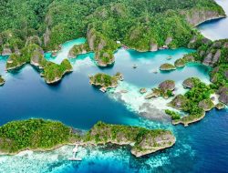 Berikut 5 Negara dengan Biodiversitas Tertinggi di Dunia, Termasuk Indonesia