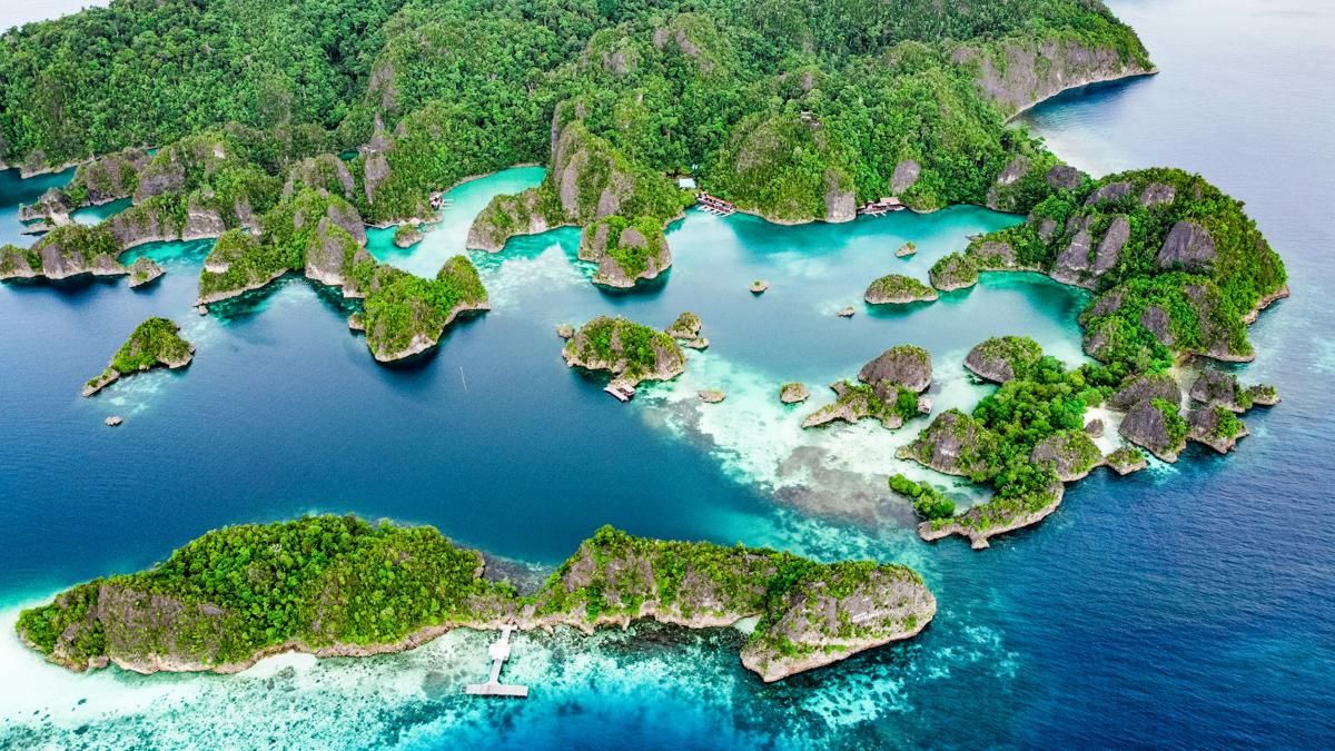 Berikut 5 Negara dengan Biodiversitas Tertinggi di Dunia, Termasuk Indonesia
