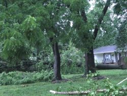 Springfield Residents Rally Together After Storm Ravages Neighborhood