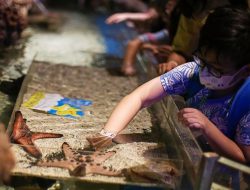Rekomendasi Tempat Wisata Seru untuk Libur Sekolah 2025