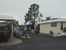 Tornado Ravages Largo, Cleanup Begins as Dozens of Homes Damaged