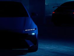 Hyundai Sticks With Gas Power Amid EV Dominance