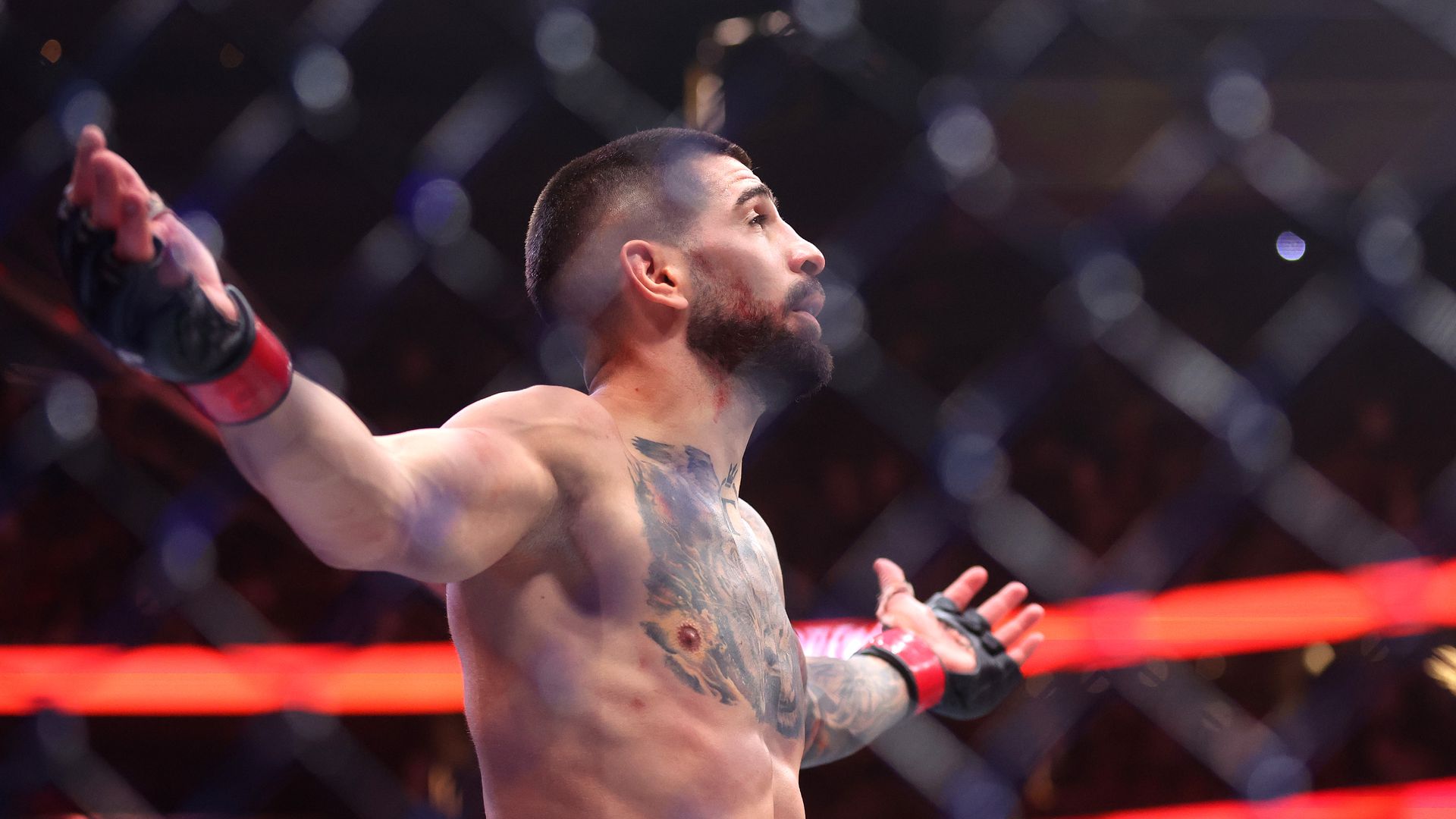 UFC 317 Winners’ Next Fight Predictions: What’s Next for the PPV Stars?