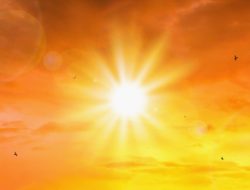 Summer Safety Secret: Why Sunscreen is a Must-Have Summer Safety Secret: Why Sunscreen is a Must-Have