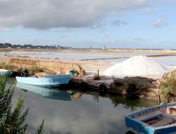 **Discover This Charming Sicilian Island: Salt Marshes, Ancient Ruins, and Summer Magic Await**