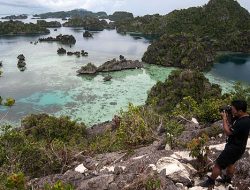 Judul yang lebih menarik dan tetap menjaga makna:
**”Anggrek Biru Langka Terancam Akibat Tambang di Raja Ampat”** Judul yang lebih menarik dan tetap menjaga makna:
**”Anggrek Biru Langka Terancam Akibat Tambang di Raja Ampat”**