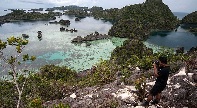 Judul yang lebih menarik dan tetap menjaga makna:  
**”Anggrek Biru Langka Terancam Akibat Tambang di Raja Ampat”**