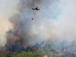 Europe’s Heatwave Sparks Wildfires in Turkey