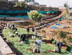 Green Legacy Initiative Drives Tangible Progress Across Key Development Sectors