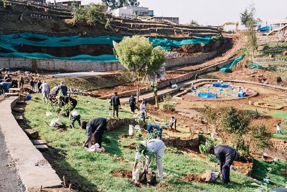 Green Legacy Initiative Drives Tangible Progress Across Key Development Sectors