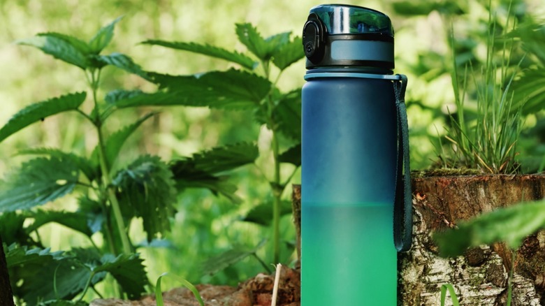 5 Genius Tips to Tidy Up Your Reusable Water Bottles