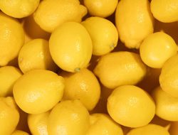 7 Aroma Parfum Buah Segar untuk Aktivitas Bersepeda Santai 7 Aroma Parfum Buah Segar untuk Aktivitas Bersepeda Santai