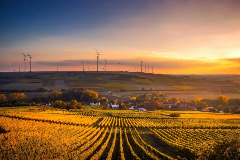 China’s Green Energy Certificates: What You Must Know