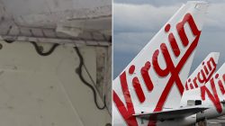 **”Hair-Raising Discovery: Airport Workers Find Snakes in Cargo Hold After Luggage”**