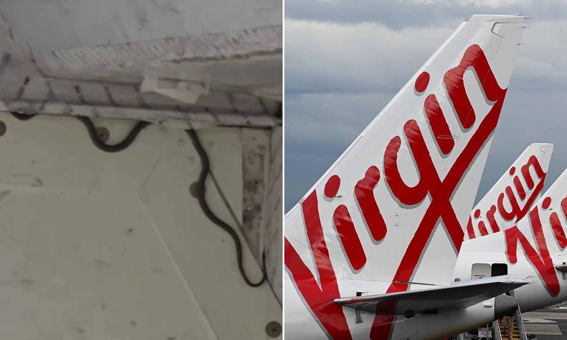 **”Hair-Raising Discovery: Airport Workers Find Snakes in Cargo Hold After Luggage”**