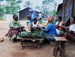 **Captivating Rephrase:**  
*Exclusive: USAID Halts Congo Rape Survivor Aid as Violence Flares*  

Let me know if you’d like additional variations!