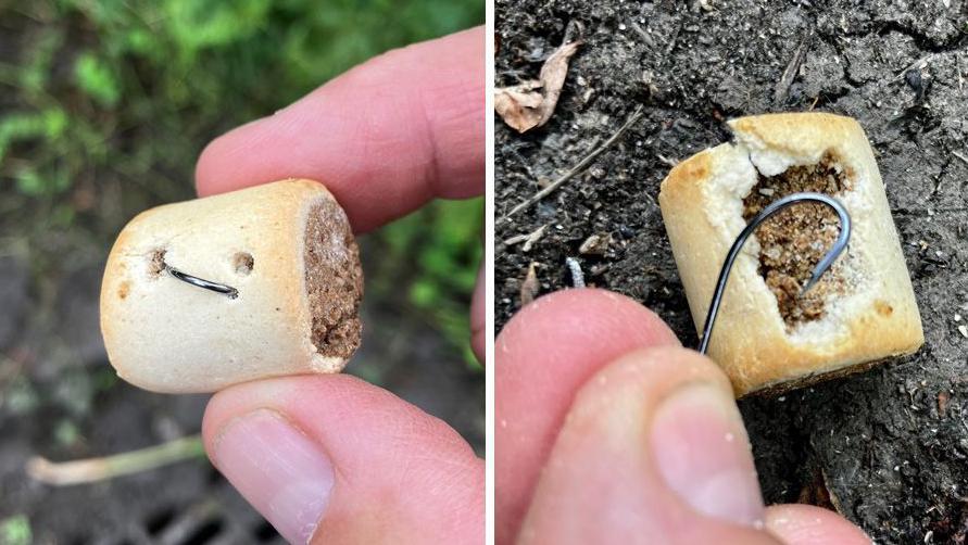 Dog Treats with Fishhooks Found in Park