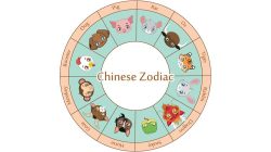 Ramalan Shio Jumat 11 Juli 2025: Monyet, Ayam, Anjing, Babi