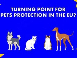 Will New Animal Welfare Law Halt Illegal Trade? Will New Animal Welfare Law Halt Illegal Trade?