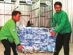 Petrokimia Gresik: Transformasi Kelurahan Tepi Kota Jadi Laboratorium Sampah Petrokimia Gresik: Transformasi Kelurahan Tepi Kota Jadi Laboratorium Sampah