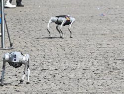 Polri Perkenalkan Robot Anjing di HUT Bhayangkara: Seberapa Canggih Dibanding Jihandak Polri Perkenalkan Robot Anjing di HUT Bhayangkara: Seberapa Canggih Dibanding Jihandak