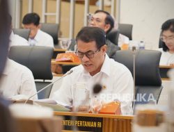 Pembaharuan Kasus Mafia Beras, Ini Pernyataan Mentan Amran Pembaharuan Kasus Mafia Beras, Ini Pernyataan Mentan Amran