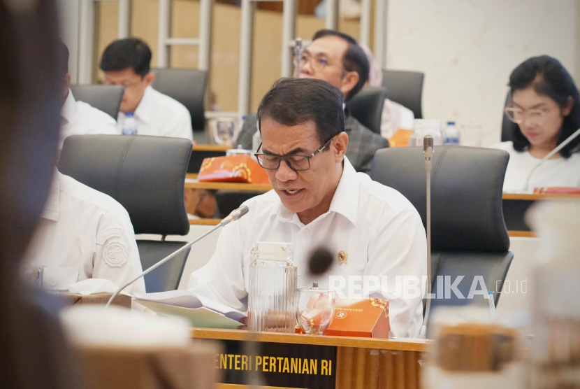 Pembaharuan Kasus Mafia Beras, Ini Pernyataan Mentan Amran