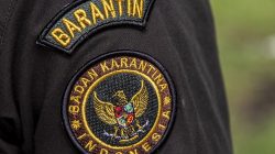 Karantina Sumbar Musnahkan 83,4 Kg Barang Impor dari Malaysia-Singapura