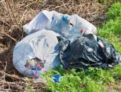 Self-Proclaimed ‘Trash Queen’ Faces Jail Time for Repeated Dangerous Acts Involving Massive Waste