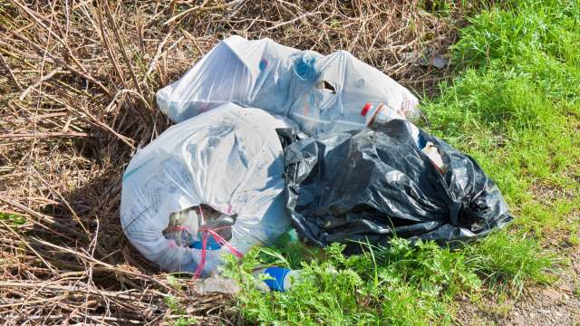 Self-Proclaimed ‘Trash Queen’ Faces Jail Time for Repeated Dangerous Acts Involving Massive Waste