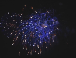 Fireworks: The 4th of July Tradition That Might Be Stressing Your Pets Fireworks: The 4th of July Tradition That Might Be Stressing Your Pets