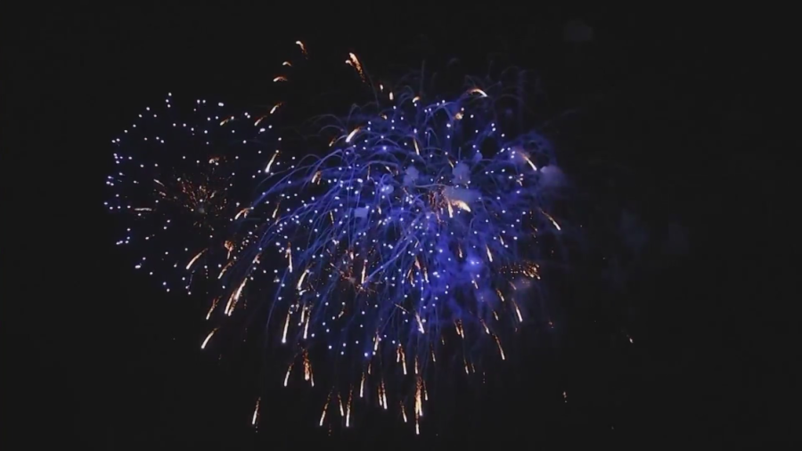 Fireworks: The 4th of July Tradition That Might Be Stressing Your Pets