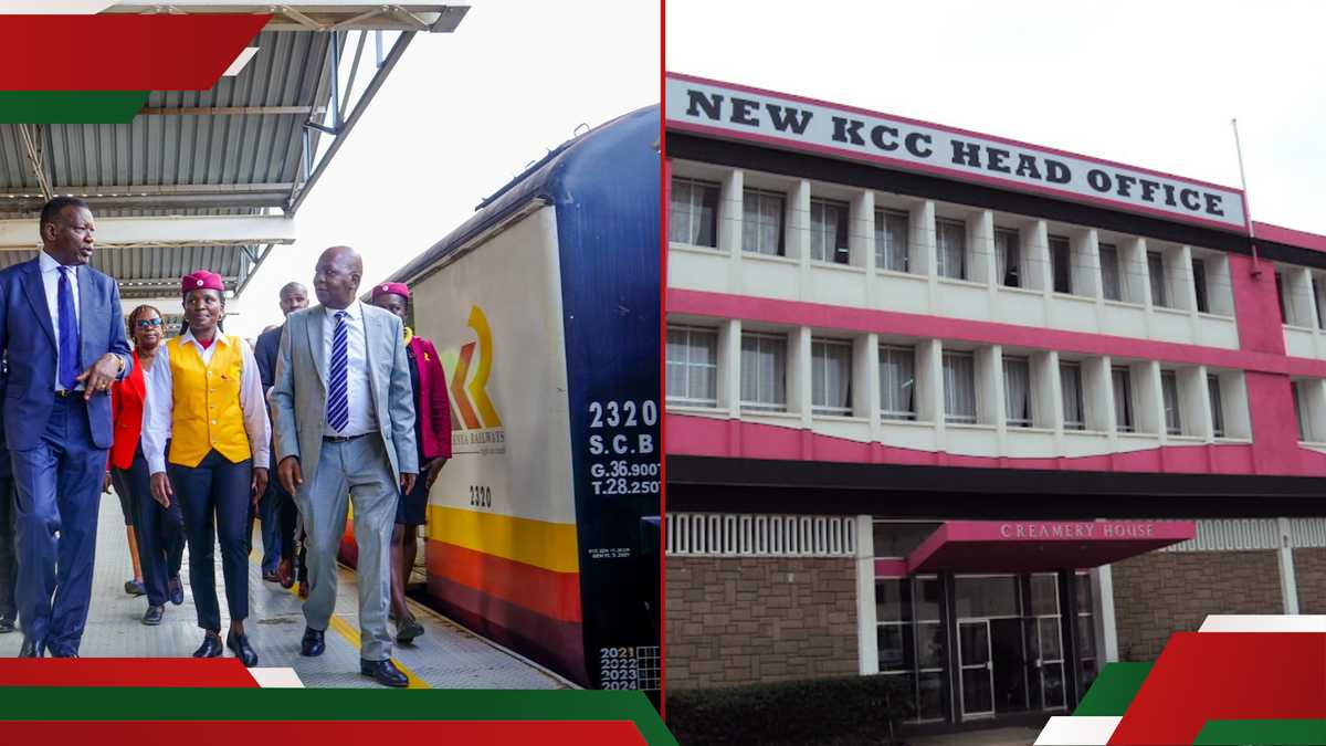 Kenya Railways, New KCC, and RBA Seek Talent for Top Roles