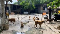 Permintaan Pemkot Jaksel: Shelter Pejaten Perlu Tambahan Tangki Septik Permintaan Pemkot Jaksel: Shelter Pejaten Perlu Tambahan Tangki Septik
