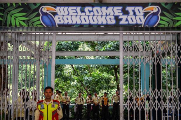 Kebun Binatang Bandung Tutup karena Konflik Manajemen, Beberapa Satwa Terancam Punah
