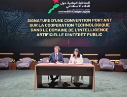**How Morocco’s Heatwave is Impacting Mental Health** **How Morocco’s Heatwave is Impacting Mental Health**