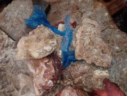 **”Spoiled Meat Intercepted in Northern Morocco During Summer Health Crackdown”** **”Spoiled Meat Intercepted in Northern Morocco During Summer Health Crackdown”**