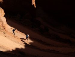 Trump Orders Higher National Park Fees for Foreign Visitors