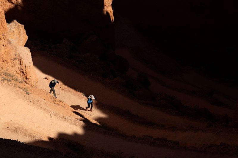 Trump Orders Higher National Park Fees for Foreign Visitors